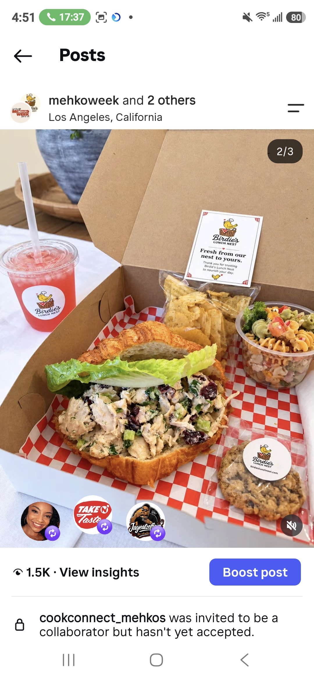 Birdie’s Lunch Nest